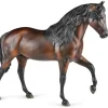 Vivaldi de Besilu Horse