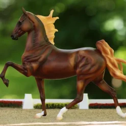 WGC Marc of Charm Saddlebred Stallion